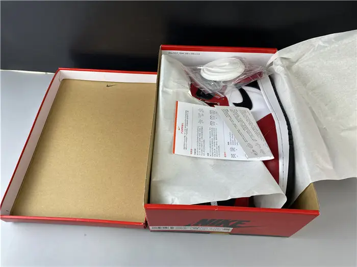 Jordan1 Retro Satin Snake Chicago 