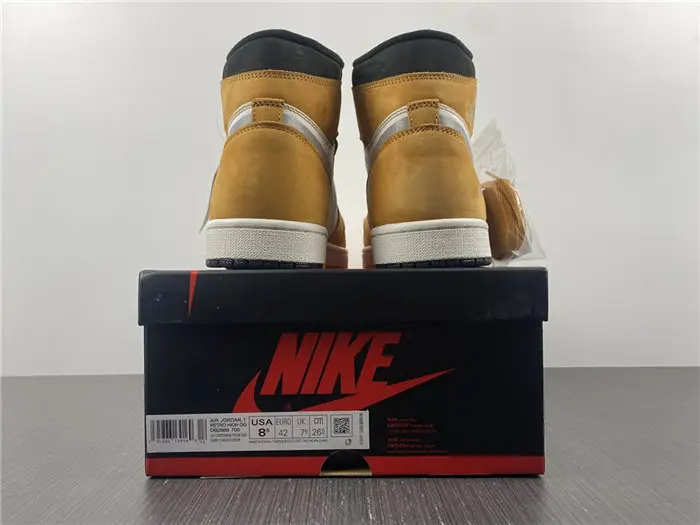 Jordan1 Element Gore-Tex Light Curry 