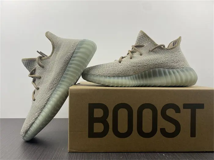 adidas Yeezy Boost 350 V2