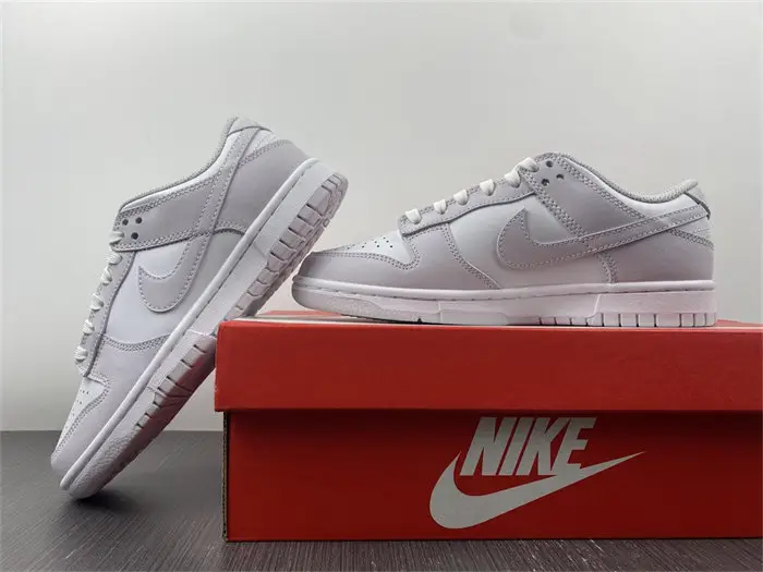 Nike Dunk Low Venice