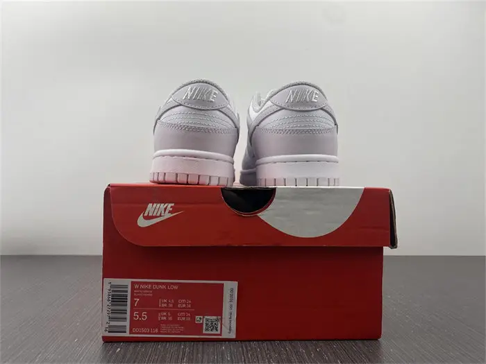 Nike Dunk Low Venice 