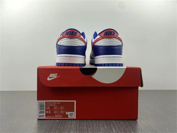 Nike Dunk Low USA 