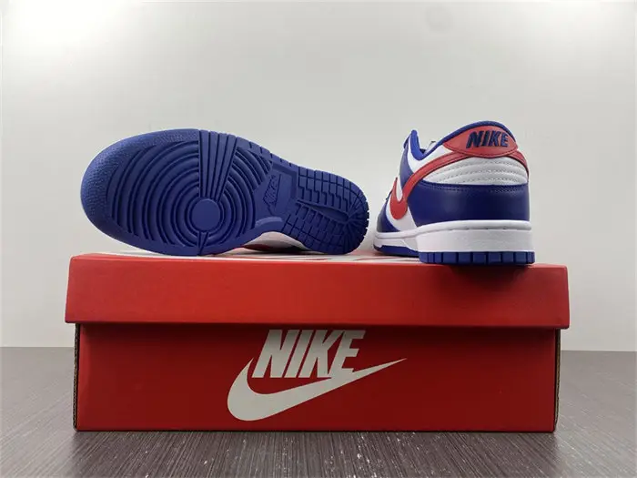 Nike Dunk Low USA 