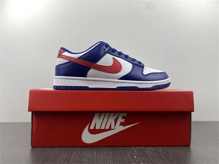 Nike Dunk Low USA 