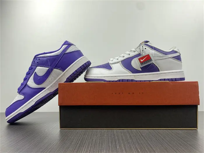 Nike Dunk Low Flip the Old School