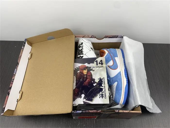 Nike SB Dunk 