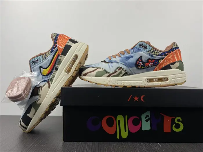 Nike Air Max 1 SP Concepts Heavy
