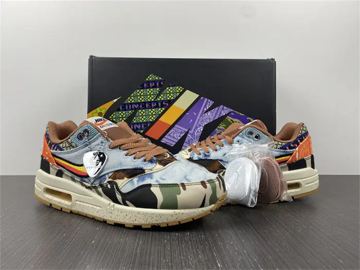 Nike Air Max 1 SP Concepts Heavy 