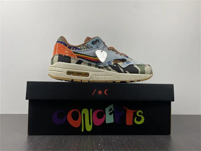 Nike Air Max 1 SP Concepts Heavy