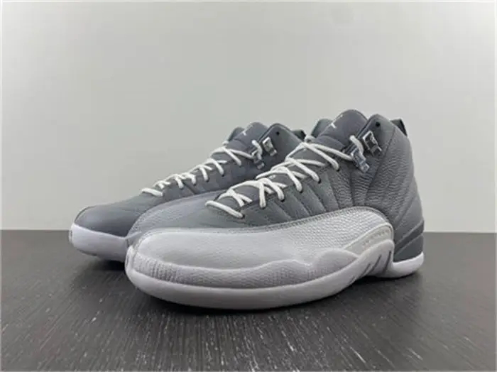 Jordan 12 Retro Stealth