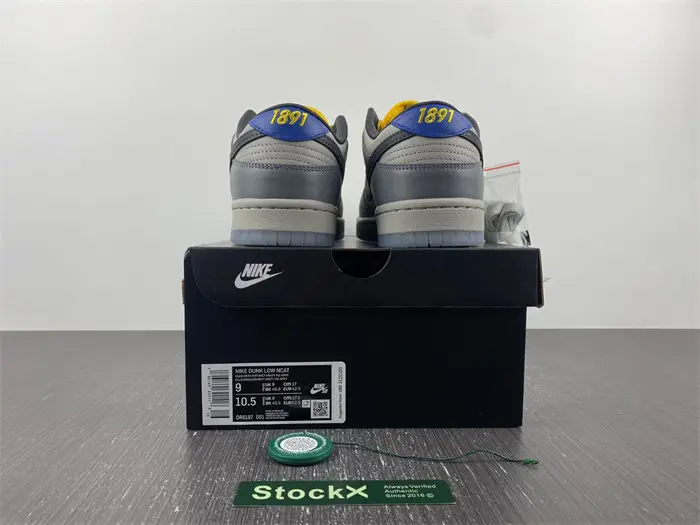 Nike Dunk Low North Carolina A&T 