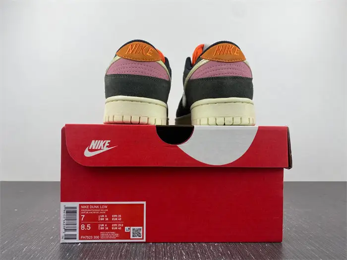 Nike Dunk Low Rainbow Trout FH7523 
