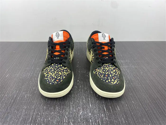 Nike Dunk Low Rainbow Trout FH7523 