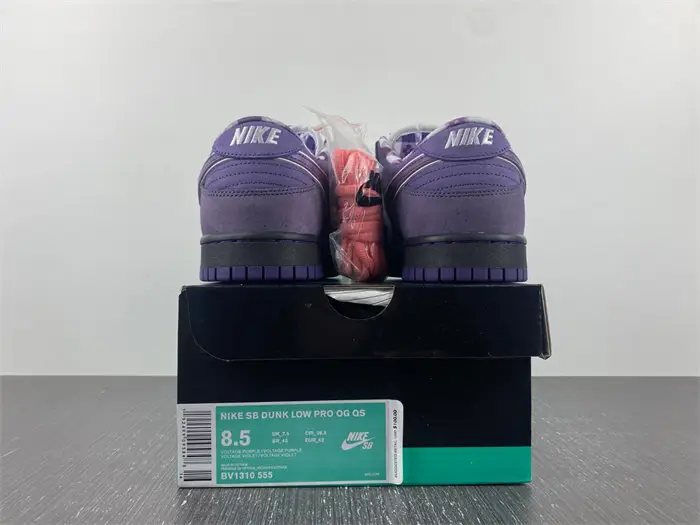 Nike SB Dunk Low Concepts Purple Lobster 