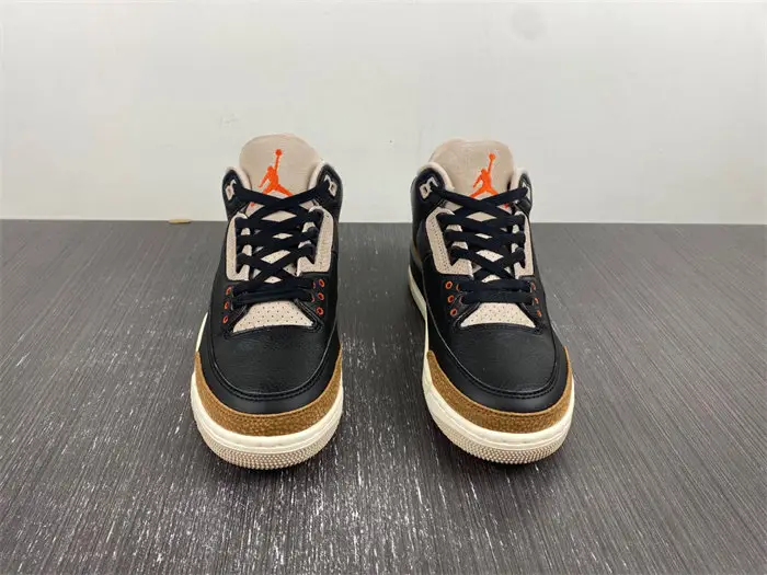 Jordan 3 Retro Desert Elephant 