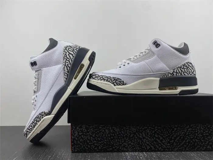 Jordan 3 Retro Hide N' Sneak