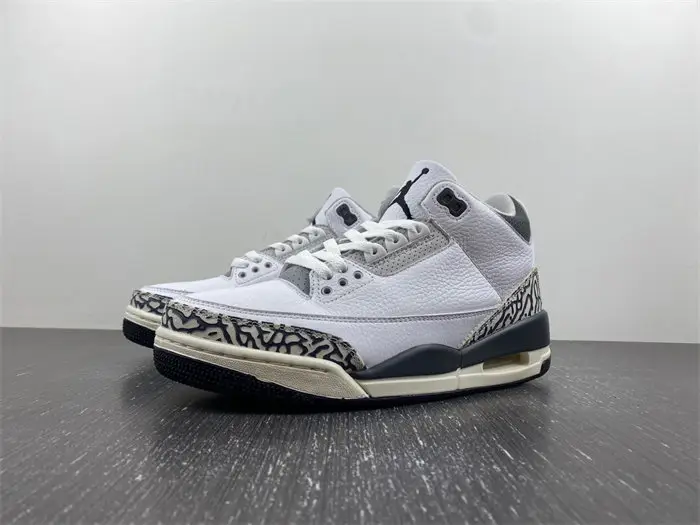 Jordan 3 Retro Hide N' Sneak