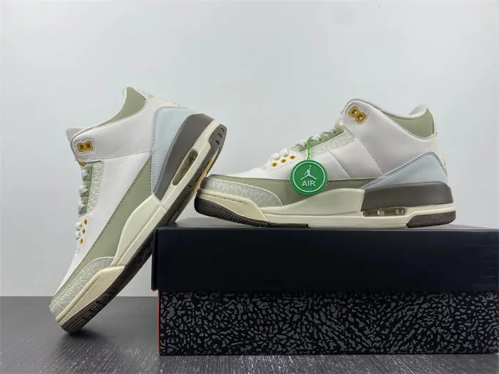 Air Jordan 3