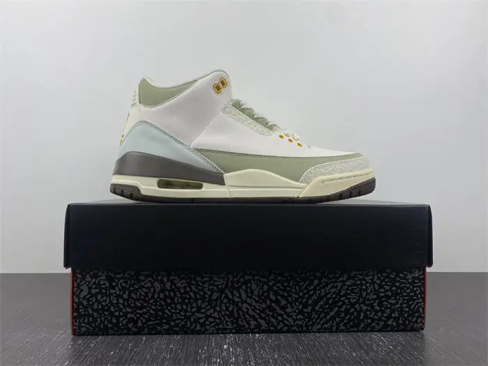 Air Jordan 3 