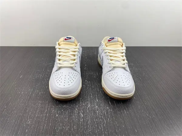 Nike Dunk Low「Washed