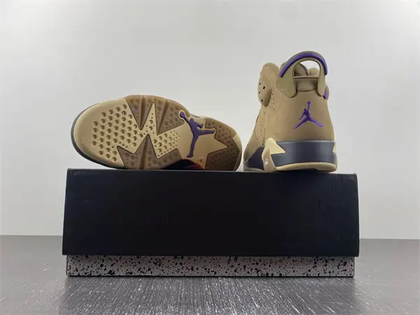 Air Jordan 6 WMNS Gore-Tex “Brown 