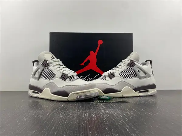 Air Jordan4 X3 