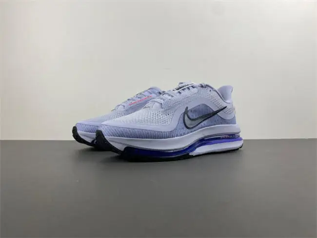 Nike Pegasus Premium 'Persian