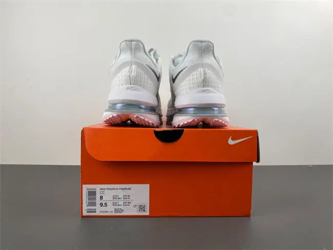 Nike Pegasus Premium 