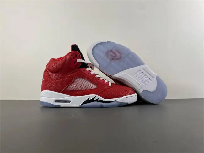 Air Jordan 5