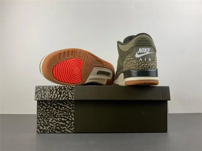 Air Jordan 3 “Family 