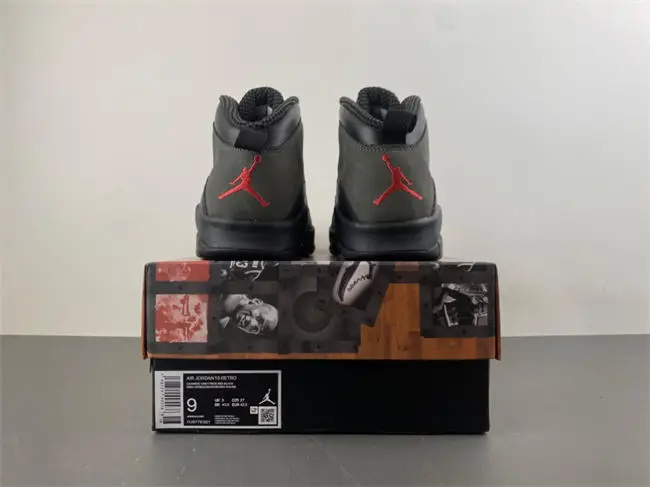 Air Jordan 10 