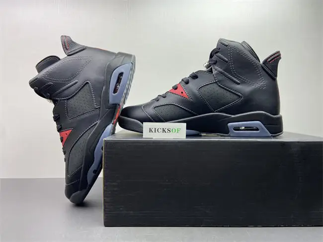 Air Jordan 6 Premio “BIN